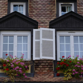 TwinSash Windows